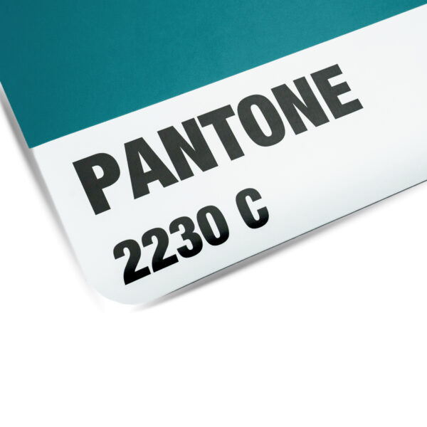 GRIP PANTONE PREMIUM NON-SLIP YOGA MAT 4.5mm - เสื่อโยคะกันลื่น หนึบทั้งตอนมือแห้งและมีเหงื่อ - Image 3
