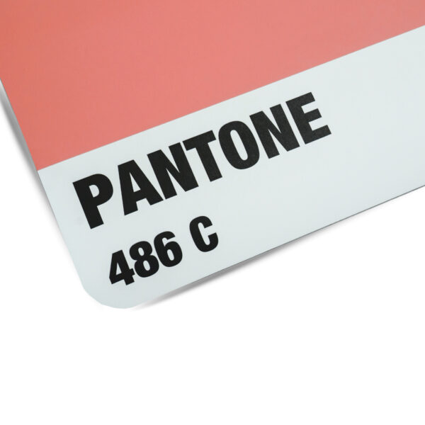 GRIP PANTONE PREMIUM NON-SLIP YOGA MAT 4.5mm - เสื่อโยคะกันลื่น หนึบทั้งตอนมือแห้งและมีเหงื่อ - Image 9