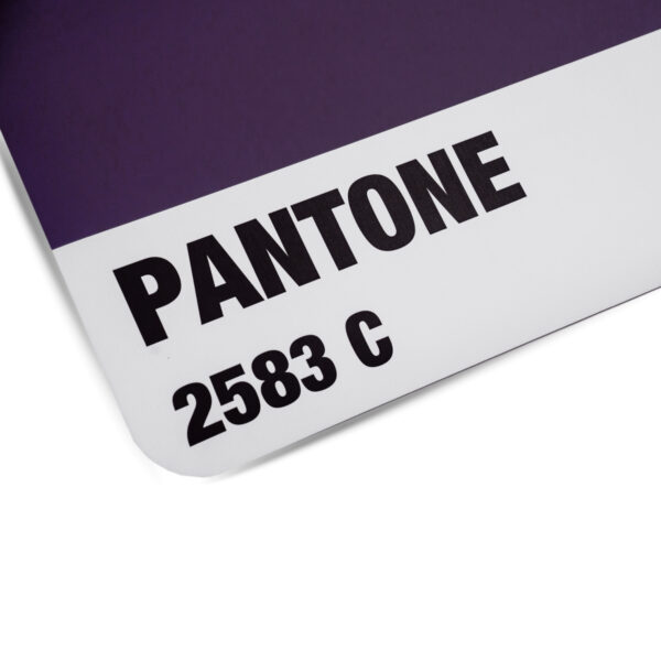 GRIP PANTONE PREMIUM NON-SLIP YOGA MAT 4.5mm - เสื่อโยคะกันลื่น หนึบทั้งตอนมือแห้งและมีเหงื่อ - Image 15
